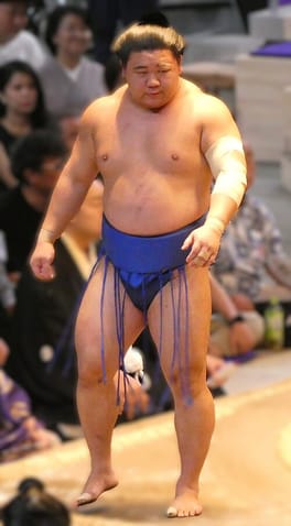 藤ノ川成剛（力士）の写真