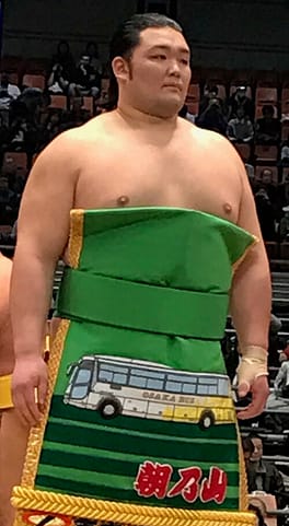 朝乃山広暉（力士）の写真