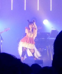 Photo of Chara