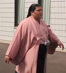 御嶽海久司（力士）の写真