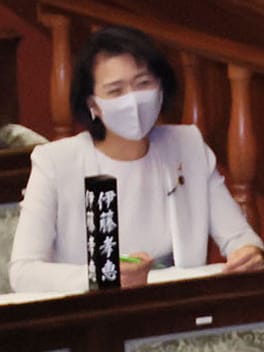 Photo of Takae Itō