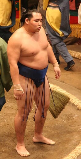 鶴竜力三郎(力士)の写真