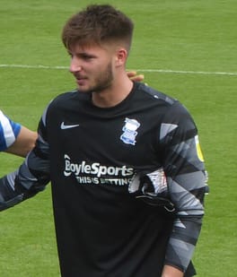 Photo of Matija Sarkic
