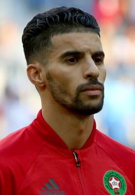 Photo of Mbark Boussoufa