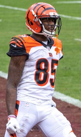 Photo of Tee Higgins