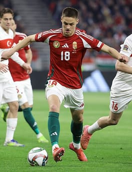 Photo of Bence Dárdai