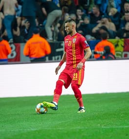 ドラゴシュ・グリゴレ（サッカー選手）の写真