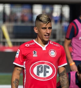 Photo of Nicolás Stefanelli
