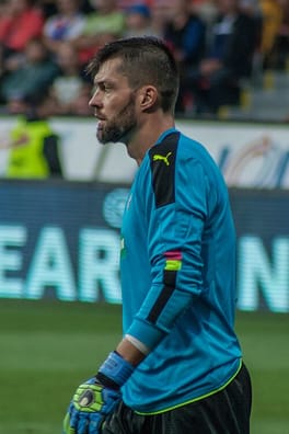 マトゥーシュ・コザーチク（サッカー選手・スポーツ選手）の写真