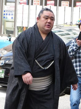 若の里忍（力士）の写真