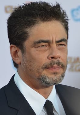 ベニチオ・デル・トロ（俳優・テレビ俳優）の写真