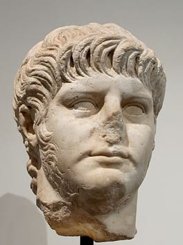 Photo of Nero