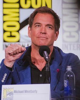 Photo of Michael Weatherly