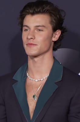 Photo of Shawn Mendes