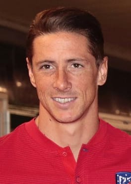 フェルナンド・トーレス（サッカー選手・サッカー指導者）の写真