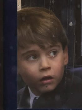 ルイ・オブ・ウェールズ（貴種・児童）の写真
