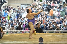 聡ノ富士久志（力士）の写真