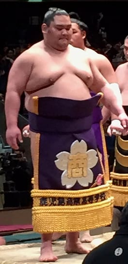 Photo of Daiamami Genki