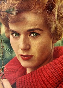 コニー・スティーブンス（俳優・歌手）の写真