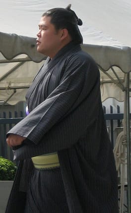 土佐豊祐哉（力士）の写真