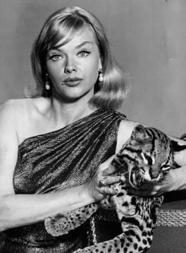 アン・フランシス(テレビ俳優・映画俳優)の写真