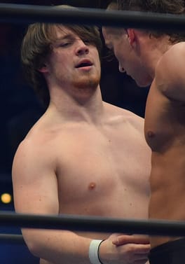デビッド・フィンレー（プロレスラー）の写真