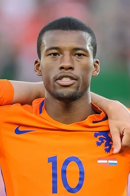 ジョルジニオ・ワイナルドゥム（サッカー選手）の写真