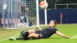 ハーフナー・ニッキ（サッカー選手）の写真
