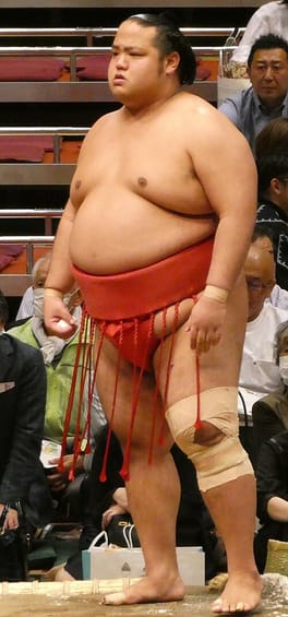 島津海空（力士）の写真