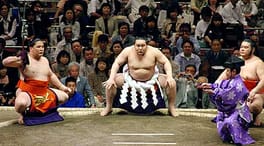 闘牙進（力士）の写真