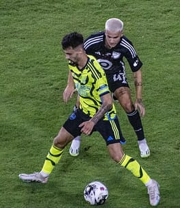 ファビオ・ヴィエイラ（サッカー選手）の写真