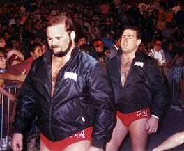 アーン・アンダーソン（プロレスラー）の写真
