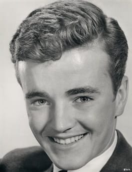 ロバート・ウォーカー・Jr（テレビ俳優・映画俳優）の写真