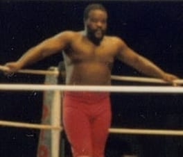 ジャンクヤード・ドッグ（プロレスラー・俳優）の写真