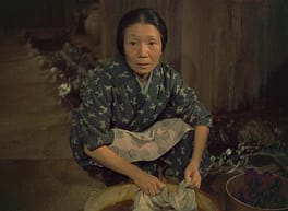 毛利菊枝（俳優）の写真
