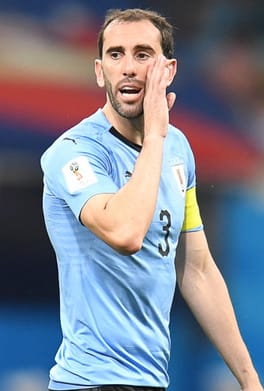 ディエゴ・ゴディン(サッカー選手)の写真