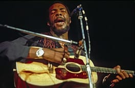 リッチー・ヘブンス(ギタリスト・歌手)の写真