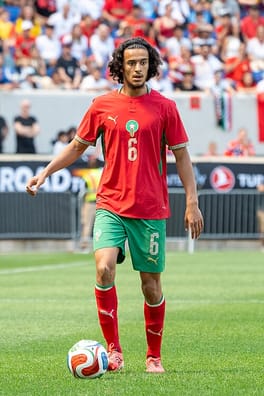 アイユーブ・ブアディ(サッカー選手)の写真