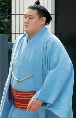 寶智山幸勘（力士）の写真