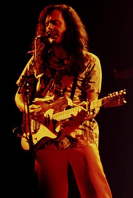 デヴィッド・リンドレー（作曲家・ギタリスト）の写真