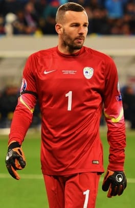 サミール・ハンダノヴィッチ（サッカー選手）の写真