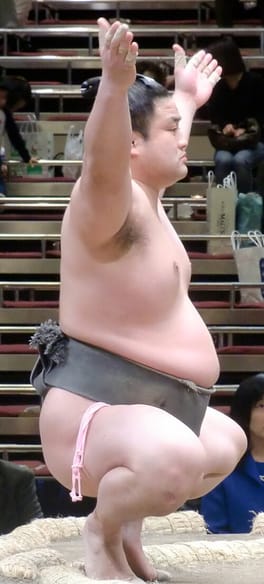 Photo of Hamanishiki Tatsurō