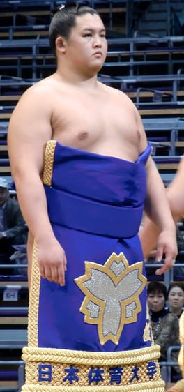 千代桜右京(力士)の写真
