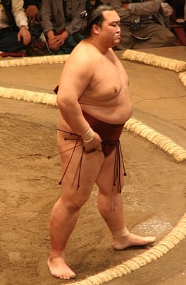 稀勢の里寛（力士）の写真