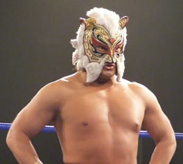 Photo of Super Shisa