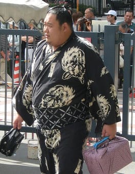 鳥羽の山喜充（力士）の写真