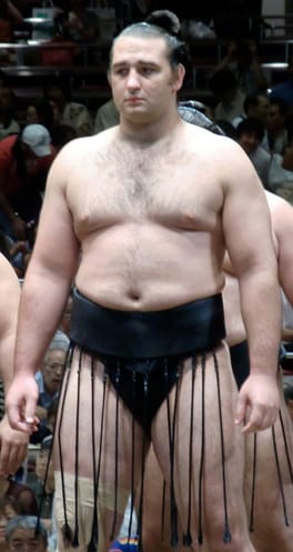 琴欧洲勝紀（力士）の写真