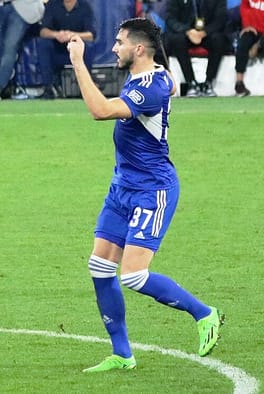 ヨシプ・シュタロ（サッカー選手）の写真