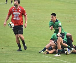 榎本光祐(ラグビーユニオン選手)の写真