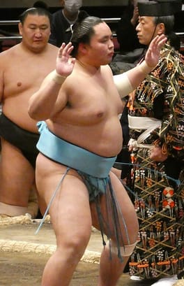 琴勝峰吉成（力士）の写真